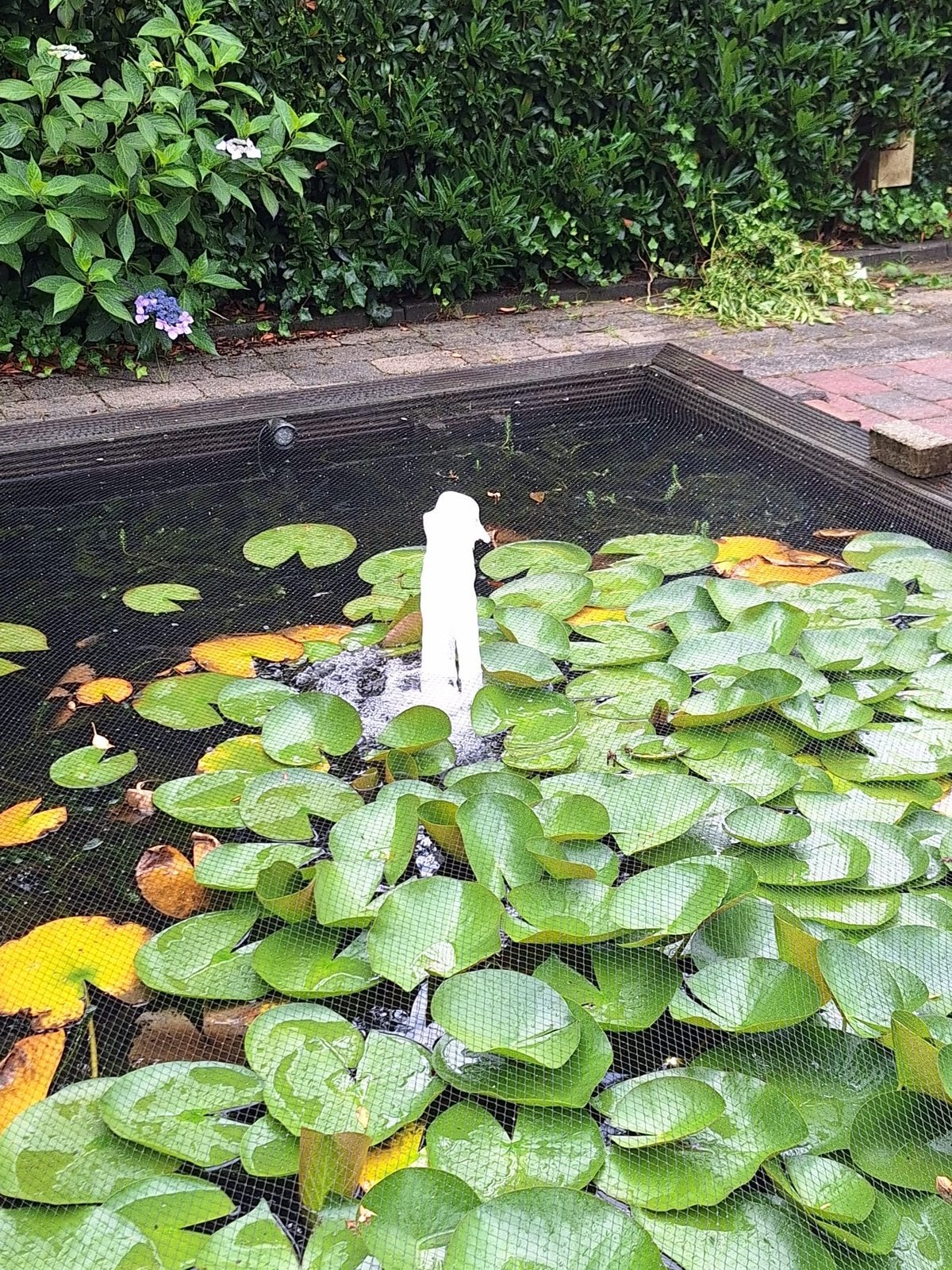 Oase broes. Roestvast staal, Tuin en Terras, Ophalen, Gebruikt