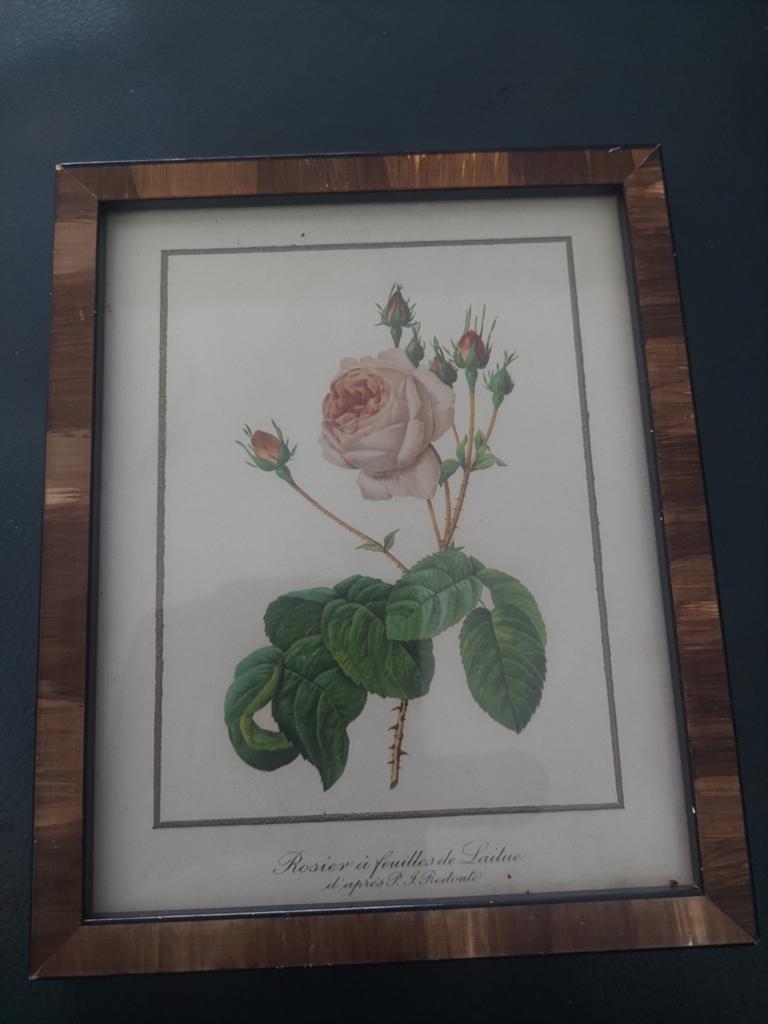3 bloemen afbeeldingen van kunsthandel Jas Breda, Ophalen of Verzenden, Minder dan 50 cm, Schilderij, Minder dan 50 cm