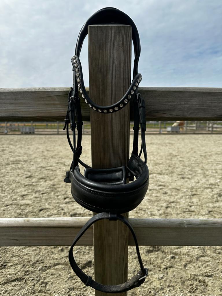 Tess hoofdstel maat COB, Ophalen of Verzenden, Gebruikt, Dressuur