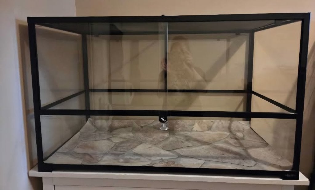 Terrarium 100x40x50cm, Kooi, Zo goed als nieuw, Hamster, 75 tot 110 cm