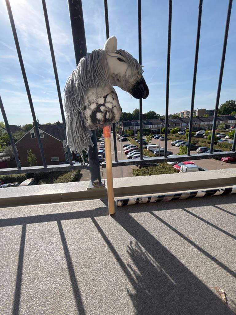 Grijs witte hobby horse, Ophalen of Verzenden, Gebruikt, Jongen of Meisje