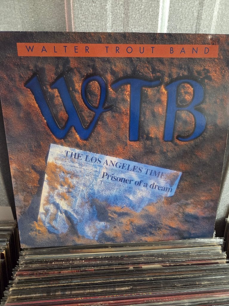 Blues lp WALTER TROUT BAND: PRISONER OF A DREAM, Gebruikt, Inclusief binnenhoes, Ophalen of Verzenden, 12 inch