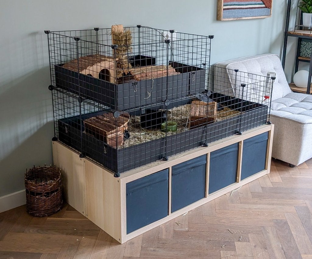 Grote cavia draadkooi van draadkubus met etage, Ophalen, Kooi, 60 tot 90 cm, Cavia