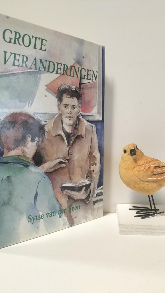 Veen, Sytse van der; Grote veranderingen, Ophalen of Verzenden, Gelezen