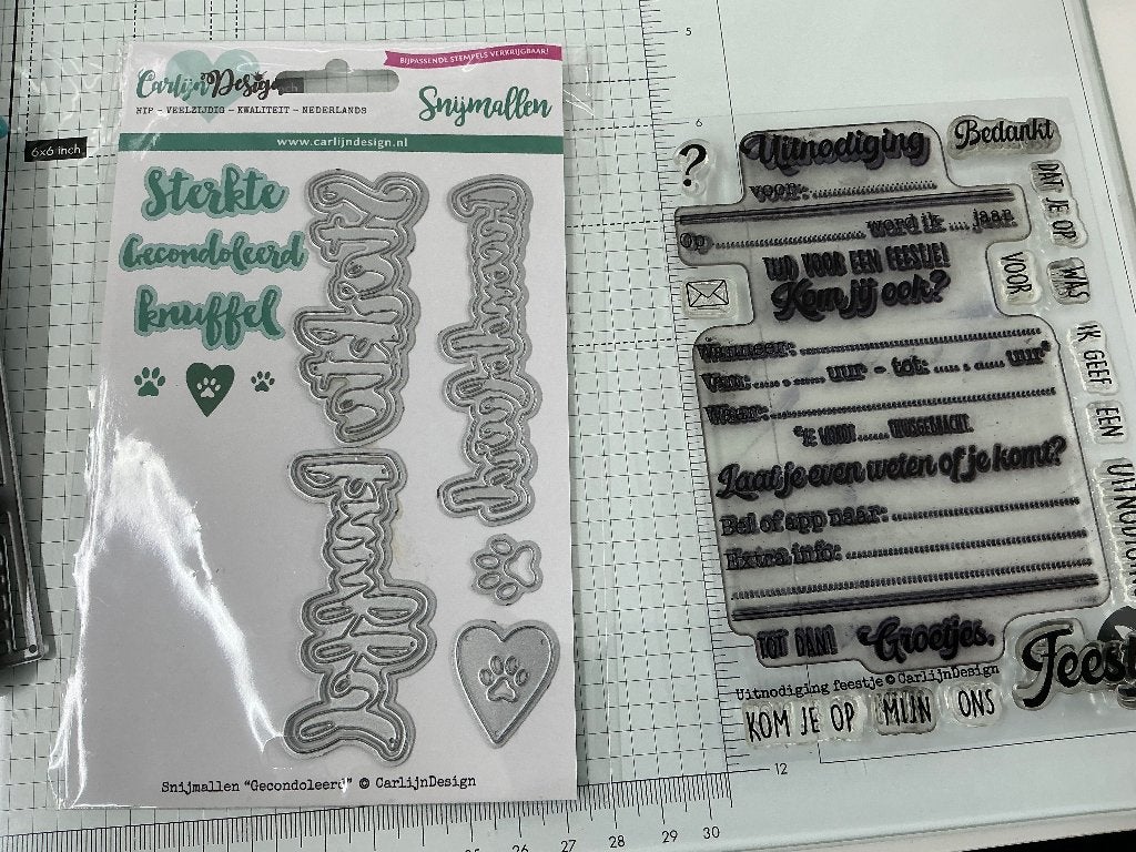 Carlijn Design Teksten en Stempels, Ophalen of Verzenden, Zo goed als nieuw, Clearstamp
