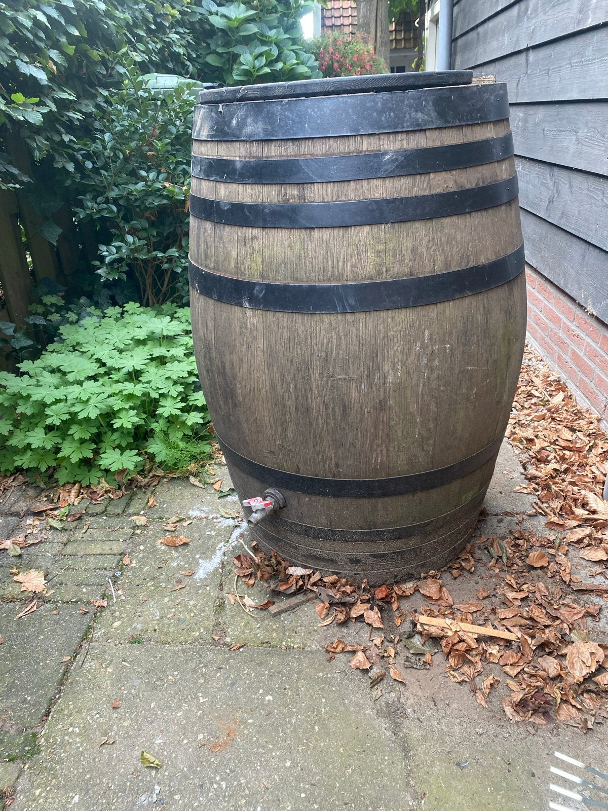 Oud wijnvat regenton (220-250L) in goede staat, Tuin en Terras, Regentonnen, Ophalen, Gebruikt, Met kraantje, 150 liter of meer
