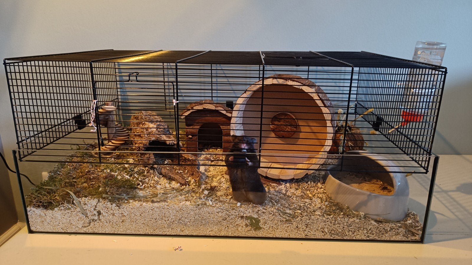 (Dwerg)hamster verblijf, Kooi, Zo goed als nieuw, Hamster, 75 tot 110 cm