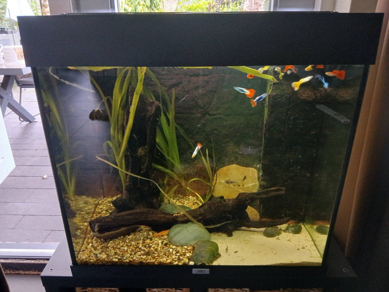 Juwel Lido 120, Ophalen, Verwarming, Gebruikt, Leeg aquarium