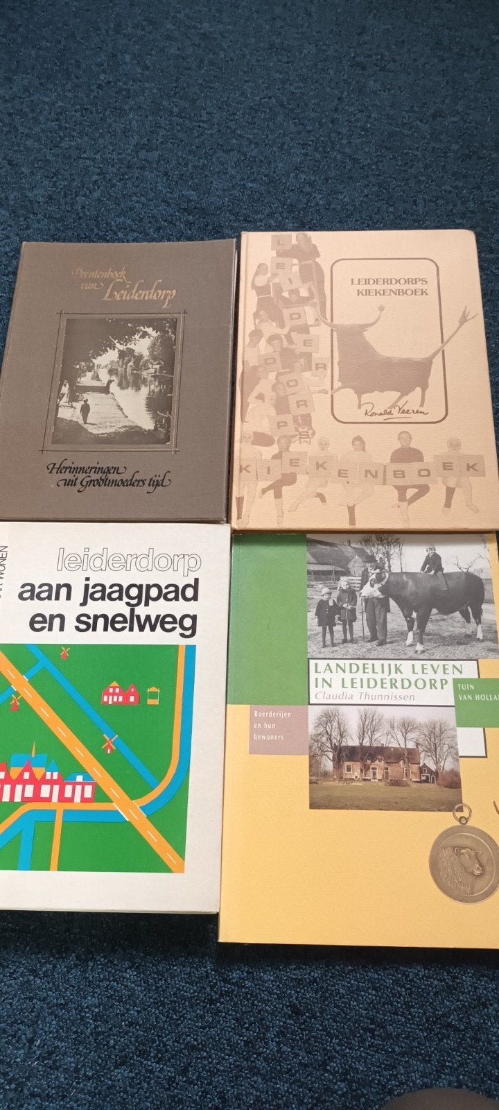 Boeken over Leiderdorp, Ophalen