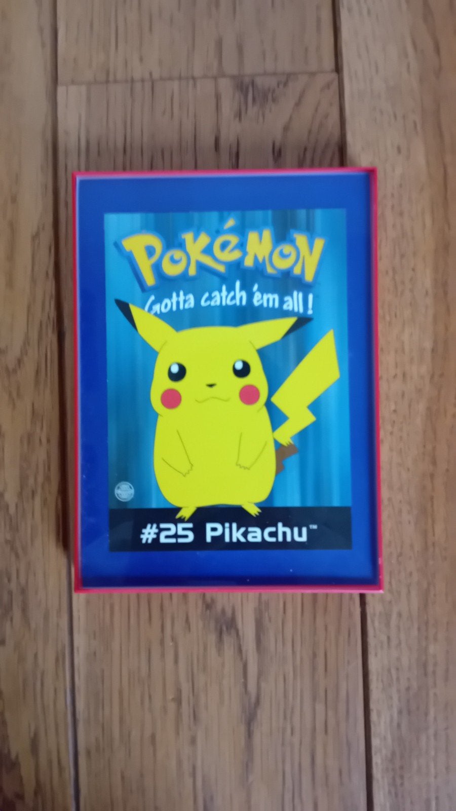 Pikachu Pokémon in Lijstje - #25 Gotta Catch 'Em All!, Ophalen, Zo goed als nieuw