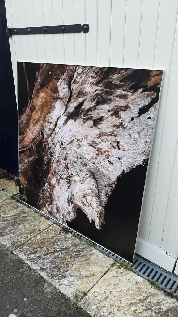 Grote foto op canvas van boomstam, Ophalen