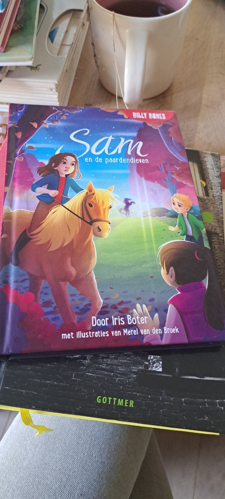 Sam en de paardendieven - Iris Boter (kinderboek), Ophalen of Verzenden, Zo goed als nieuw, Iris Boter, Fictie algemeen