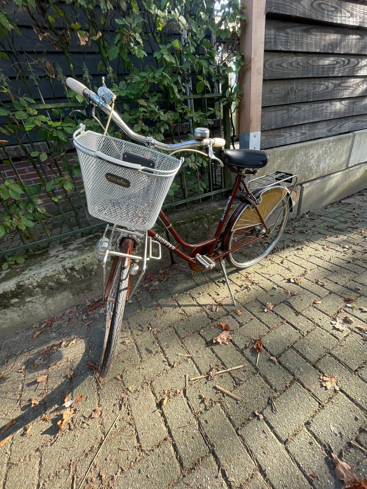 Stationsfiets Raleigh, Ophalen, Gebruikt, Overige merken