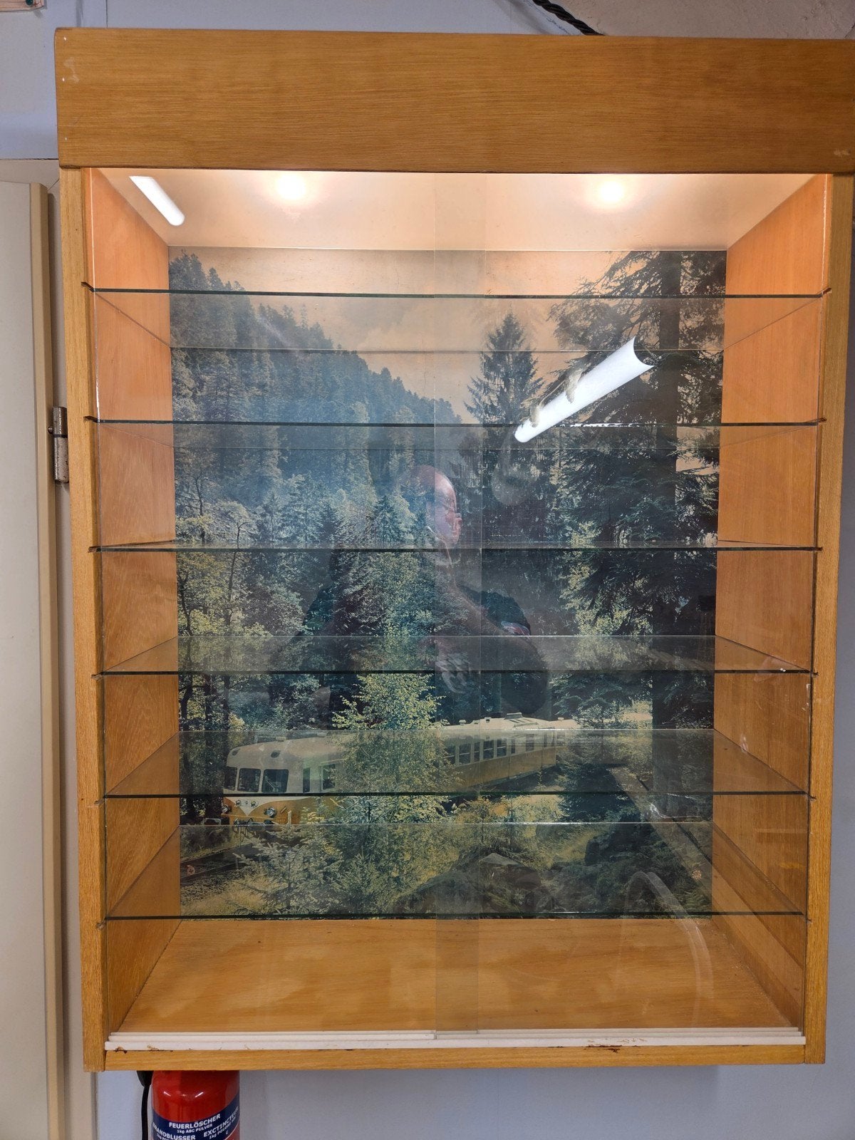 Houten vitrinekast met verlichting en glazen planken, Ophalen, Zo goed als nieuw, Gelijkstroom of Wisselstroom, Overige merken