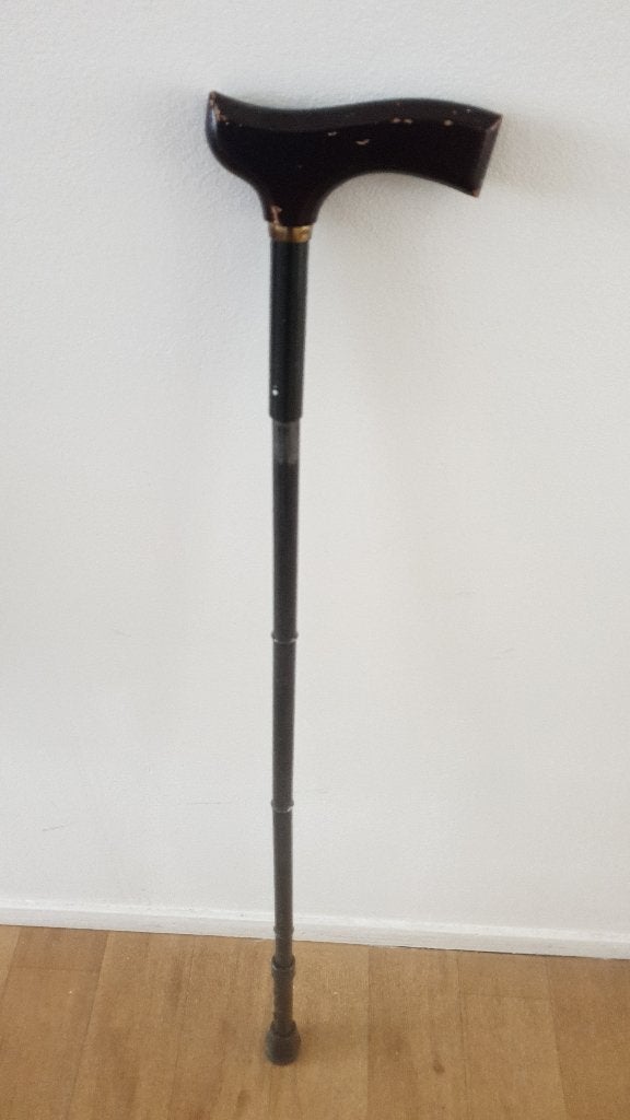 Wandelstok, Ophalen of Verzenden, Verstelbaar, Gebruikt