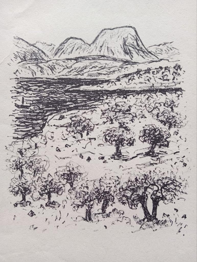 Lithografie landschap Turkije jaren 40-60, Antiek en Kunst, Kunst | Litho's en Zeefdrukken, Ophalen of Verzenden