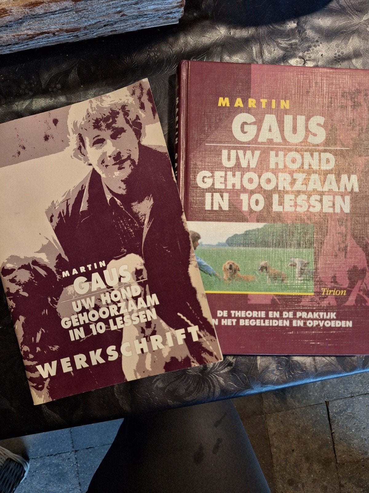 Martin Gaus: Uw hond gehoorzaam in 10 lessen + werkschrift, Boeken, Ophalen, Zo goed als nieuw, Honden, Martin Gaus