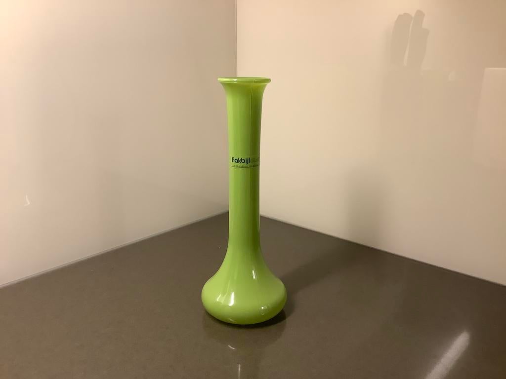 Hakbijl vaas, Overige kleuren, Ophalen of Verzenden, Minder dan 50 cm, Glas