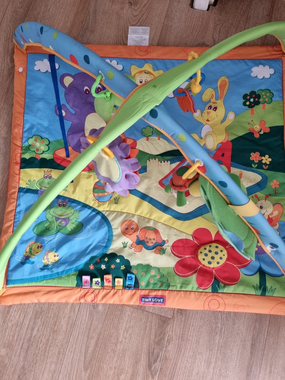 Tiny Love Babygym met speelkleed, Ophalen, Gebruikt, Babygym