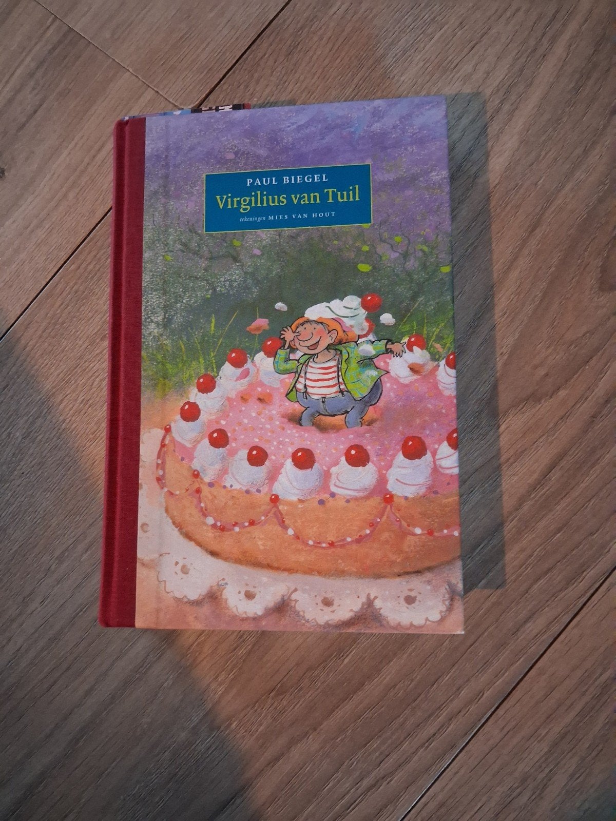 Paul Biegel - Virgilius van Tuil, Paul Biegel, Fictie algemeen, Nieuw, Ophalen of Verzenden