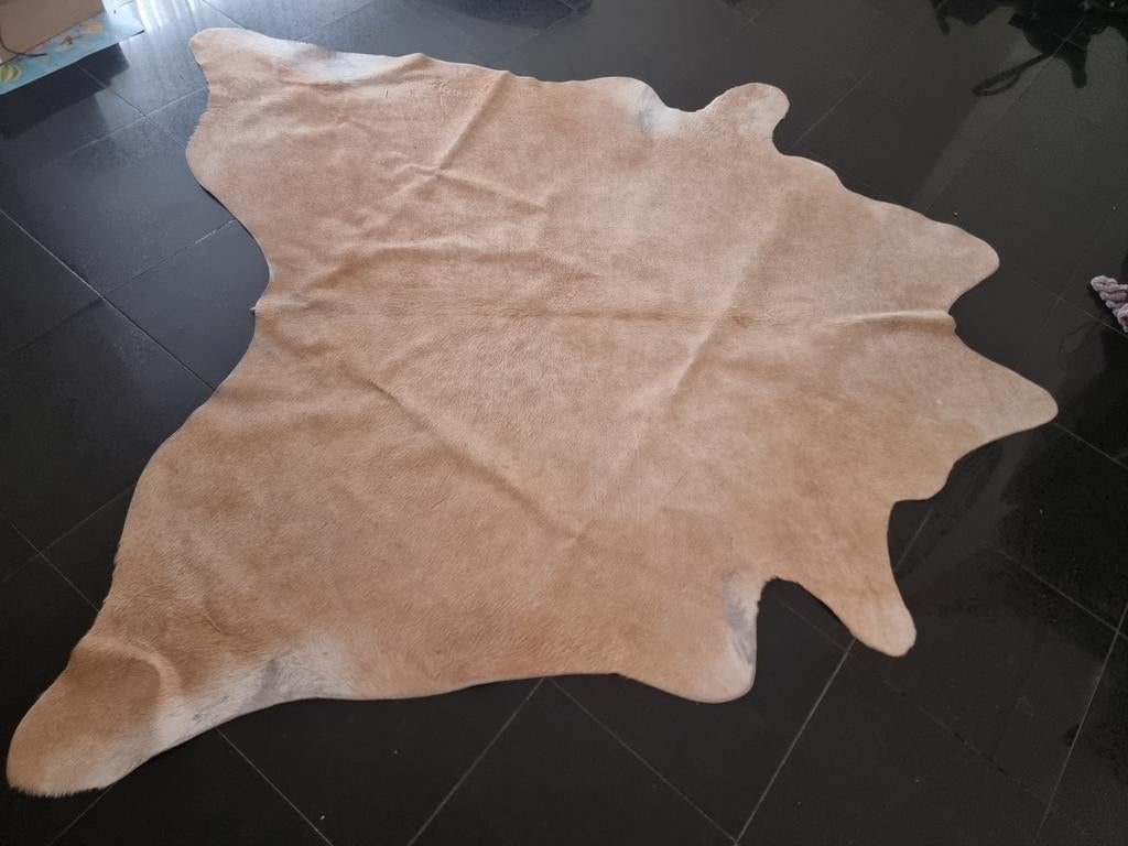 Echte koeienhuid vloerkleed - Natuurlijk en stijlvol, Ophalen, Gebruikt, Natuurlijk, Rustiek, Modern, Scandinavisch, 150 tot 200 cm