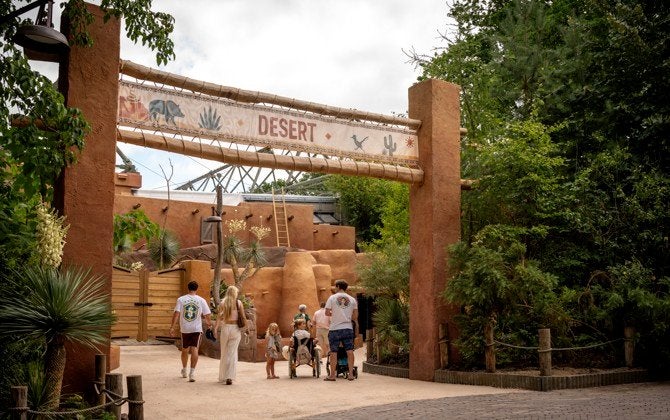 Ticket Burger's Zoo, Tickets en Kaartjes, Eén persoon, Ticket of Toegangskaart