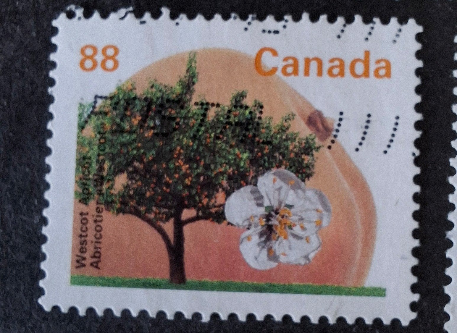 Canada 292, Ophalen of Verzenden, Noord-Amerika