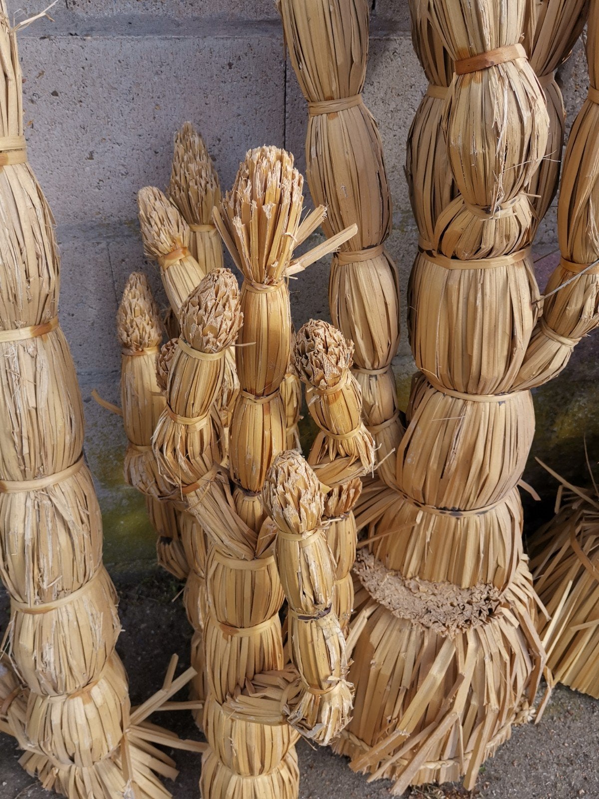 Cactussen van riet gemaakt, Ophalen