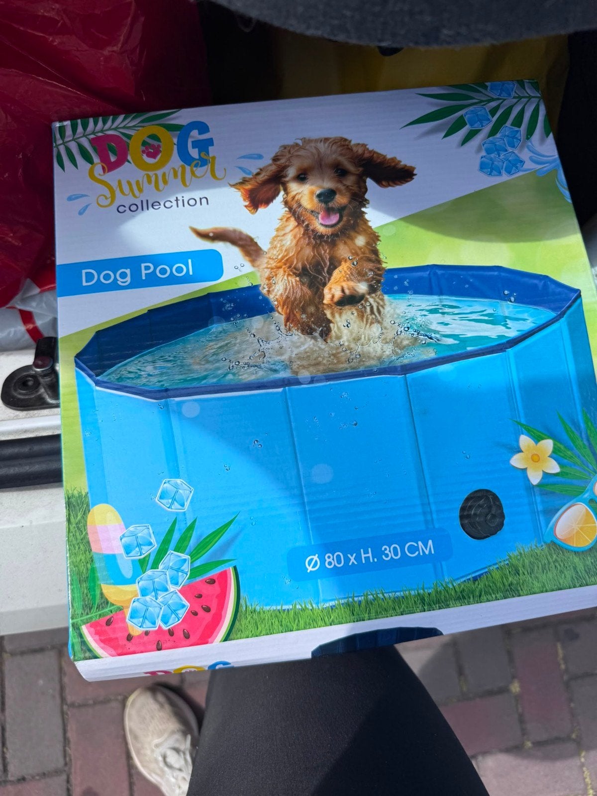 Honden zwembad, Dieren en Toebehoren, Ophalen of Verzenden, Nieuw