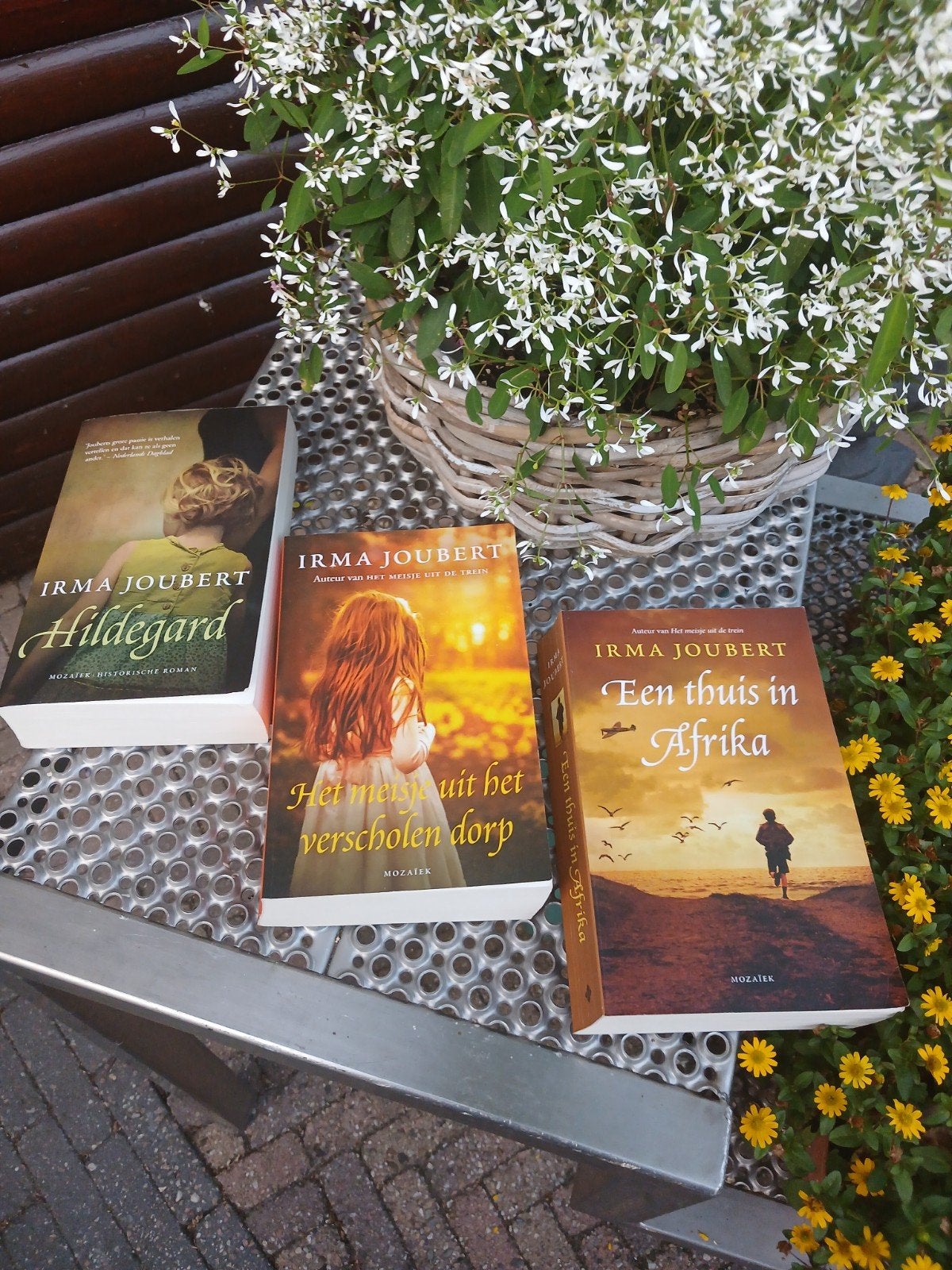 Irma Joubert trilogie, Boeken, Romans, Zo goed als nieuw, Nederland, Ophalen of Verzenden