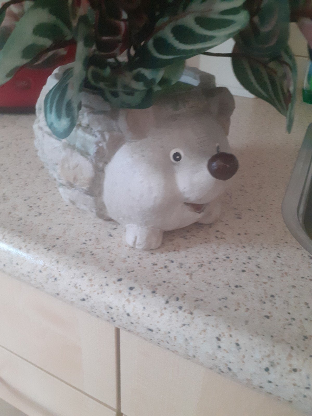 bloempot Egel met bloem, Ophalen, Rond, Aardewerk, Minder dan 40 cm