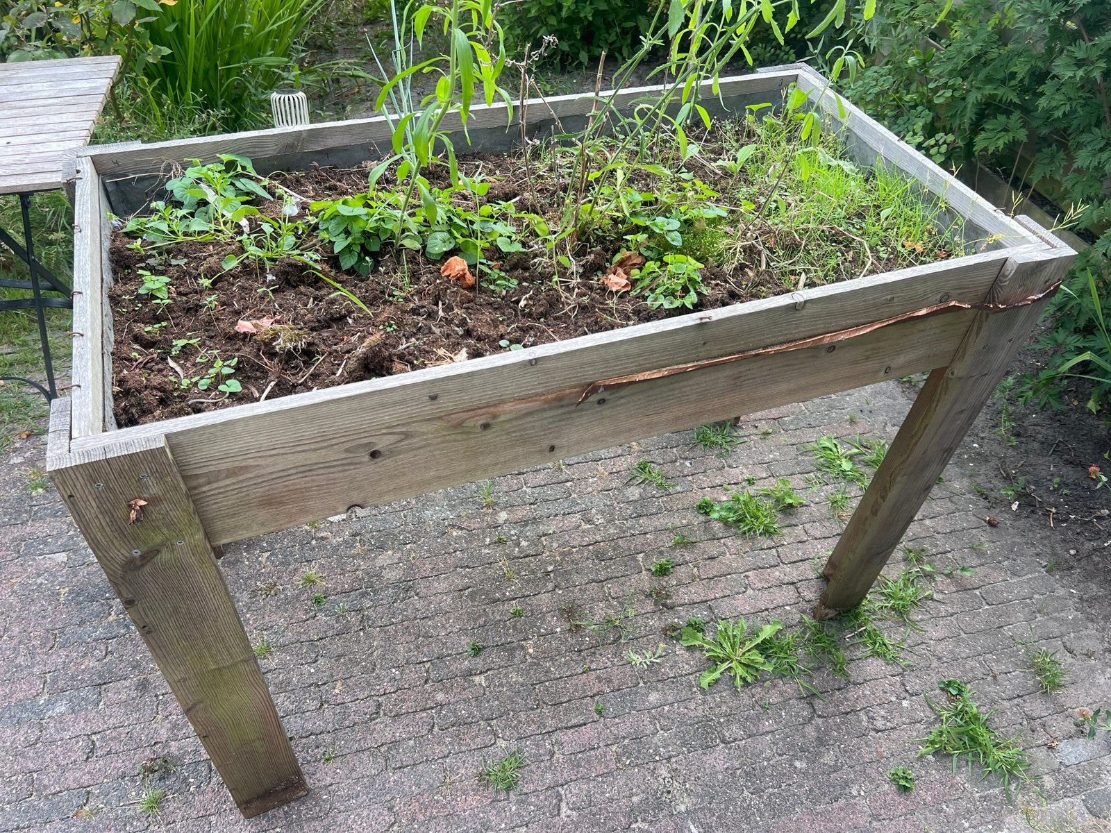 Houten Kweekbak op Hoogte - 130x60x80 cm, Ophalen, Gebruikt, 100 cm of meer, 60 cm of meer