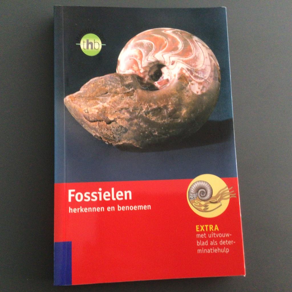 Fossielen herkennen en benoemen - Gerhard Lichter, Verzamelen, Mineralen en Fossielen, Ophalen of Verzenden, Fossiel