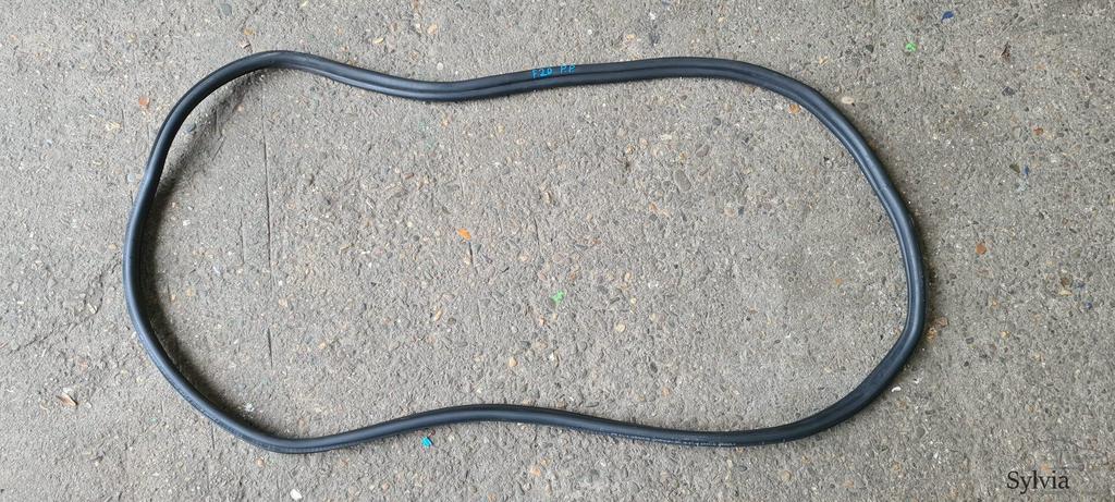 Portier deurrubber achterzijde BMW 1 serie F20 7240834, Gebruikt, -, -, Ophalen of Verzenden