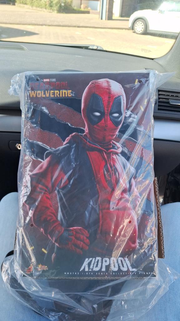 Hot Toys, Ophalen of Verzenden, Zo goed als nieuw, Actiefiguur of Pop