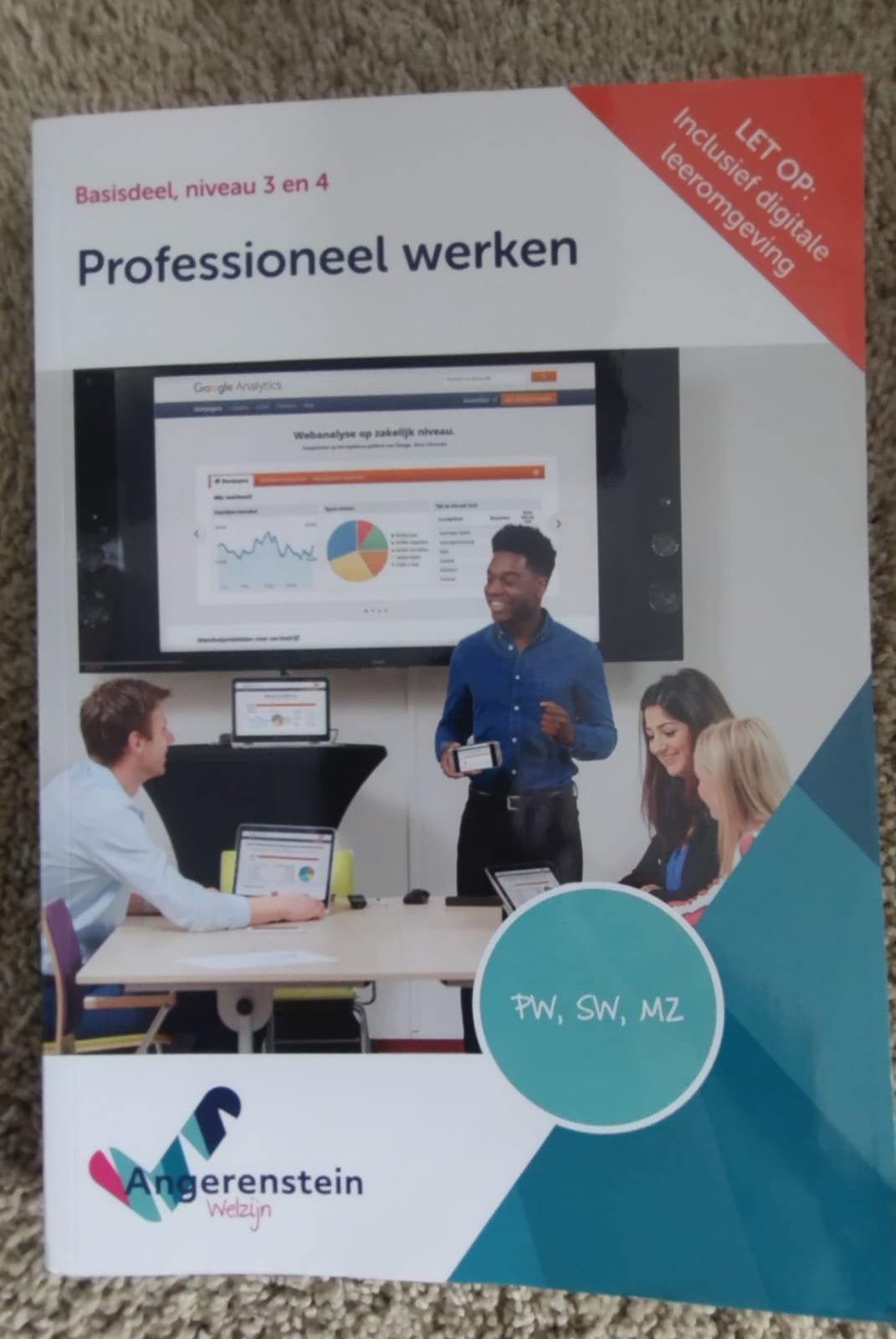 Professioneel werken, Angerenstein, niveau 3 en 4, Ophalen of Verzenden, Zo goed als nieuw, Overige niveaus, Overige vakken