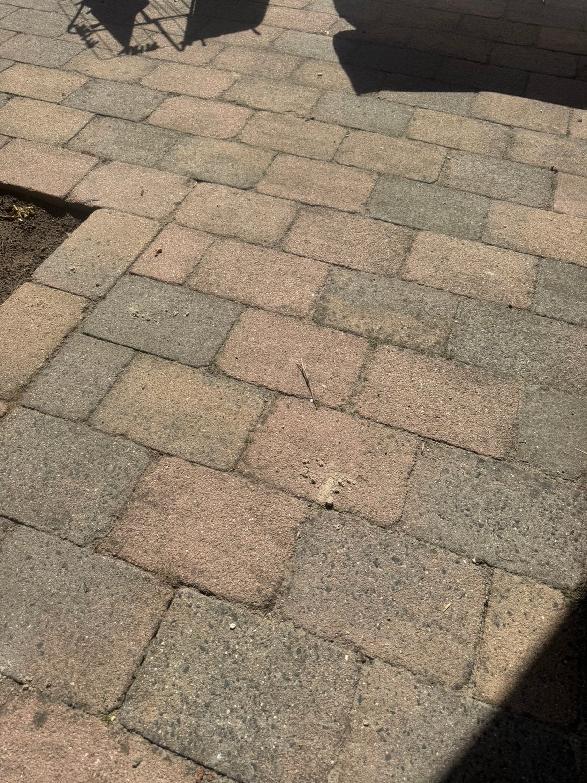 Gratis tegels, Ophalen, Zo goed als nieuw, Beton, Terrastegels