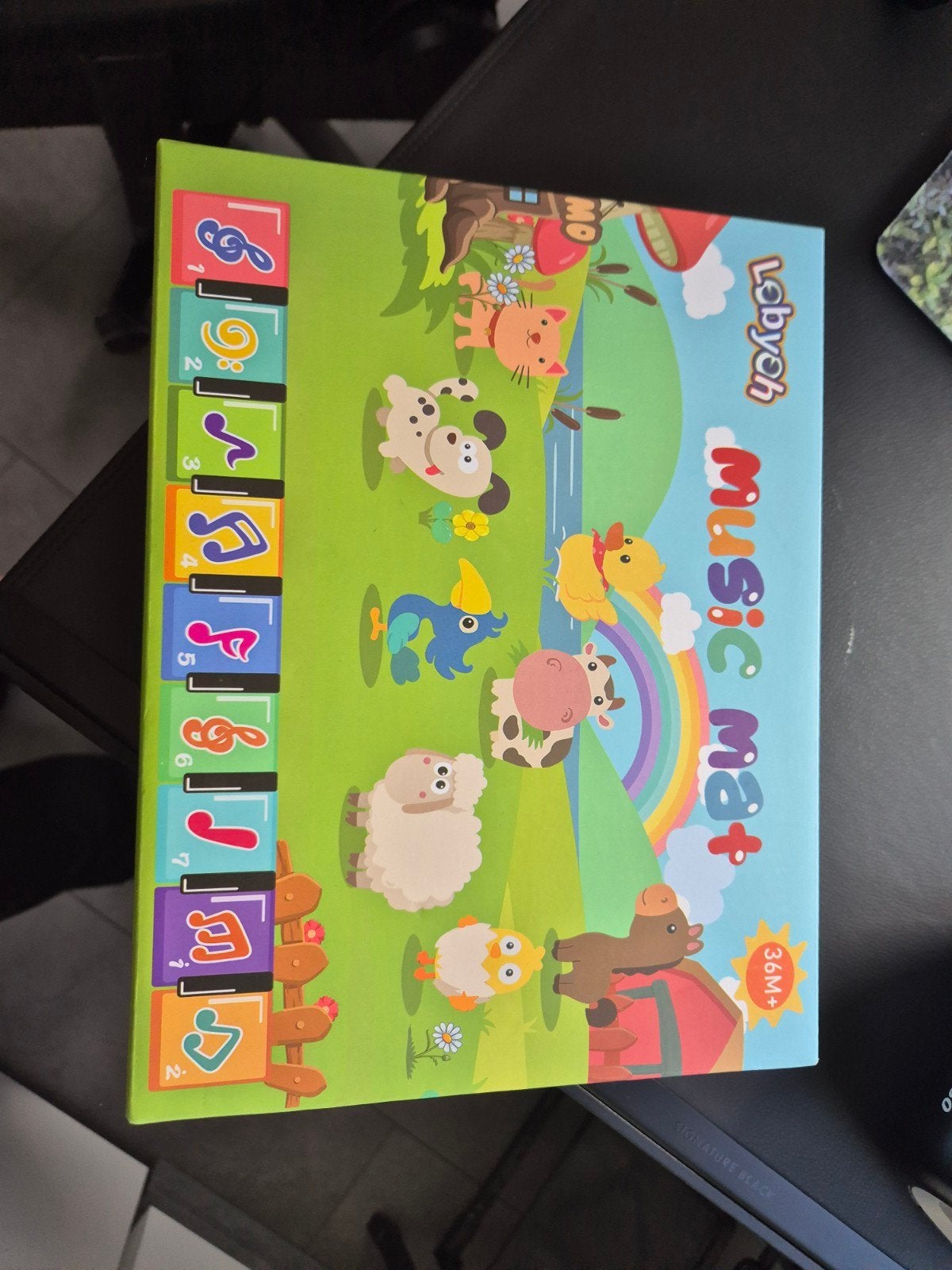 Labyoh Muziekmat voor baby's en peuters, Ophalen, Zo goed als nieuw, Speelkleed, Met geluid