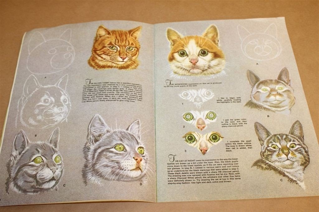 How to Draw and Paint Animal Expressions — Vintage, ca. 1950, Ophalen of Verzenden, Gelezen, Overige onderwerpen