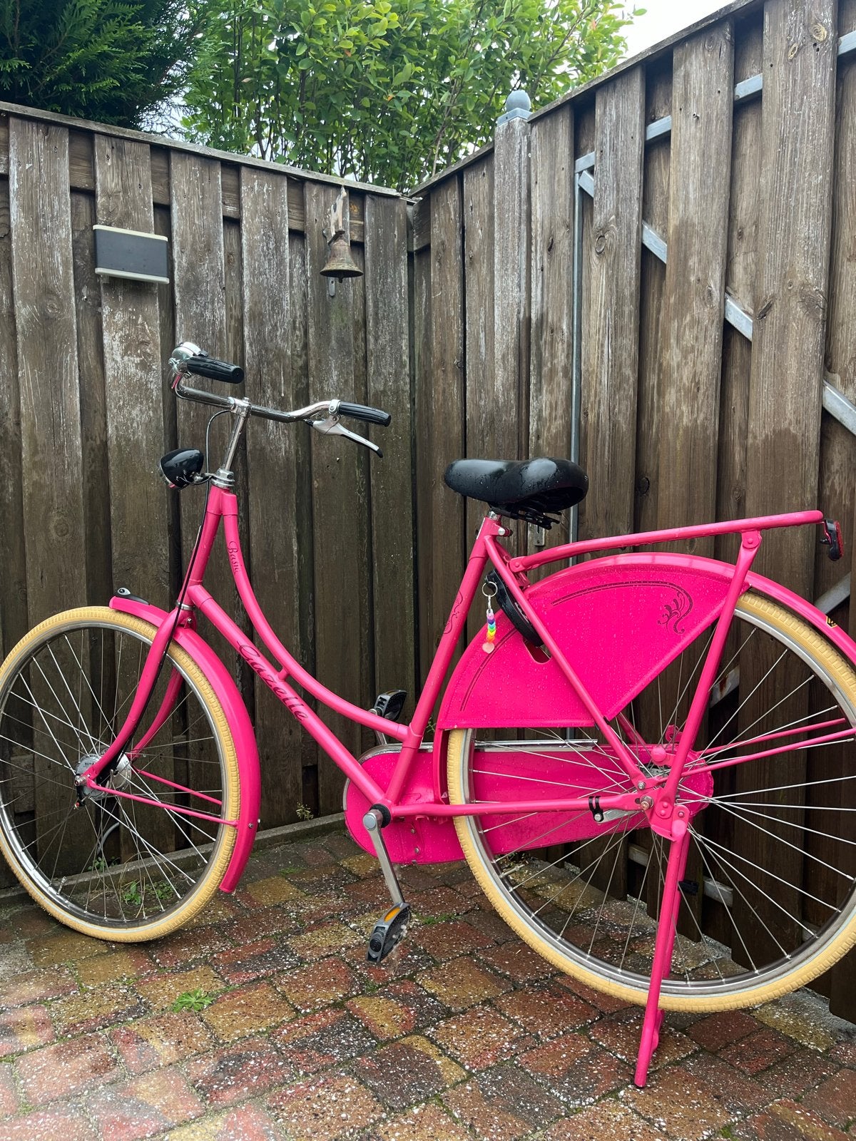 Roze Gazelle Basic Damesfiets - Gebruikt, Fietsen en Brommers, Ophalen, Terugtraprem, Gazelle, 53 tot 56 cm