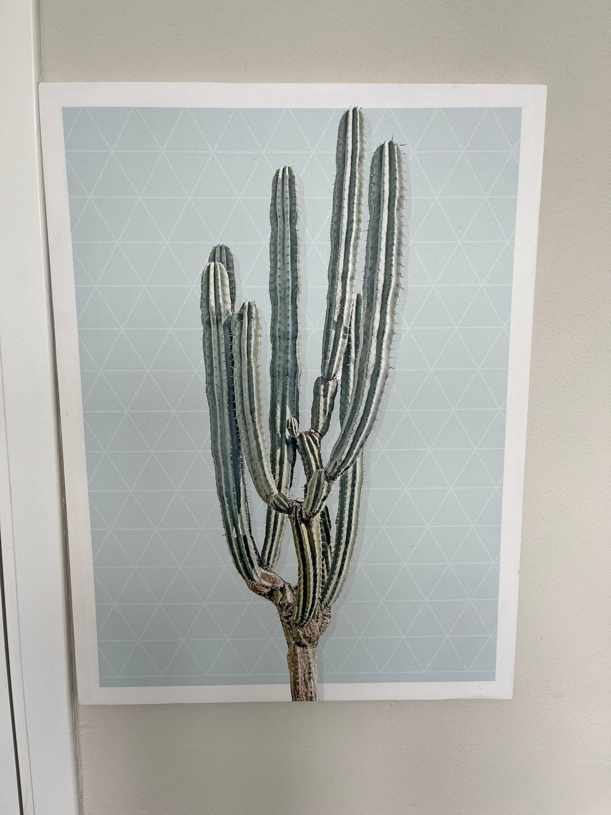 Canvas met cactus print - 80x60 cm, Ophalen, Zo goed als nieuw, Schilderij, 75 – 100