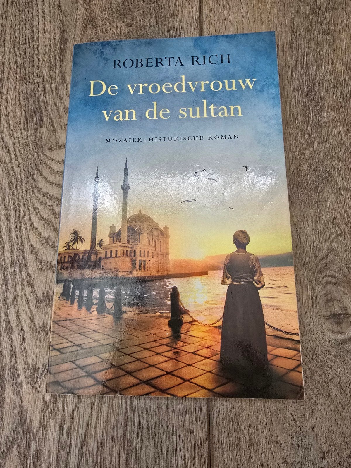 Te koop nieuw boek "De vroedvrouw van de Sultan", schrijve, Ophalen of Verzenden, Nieuw, Roberta Rich