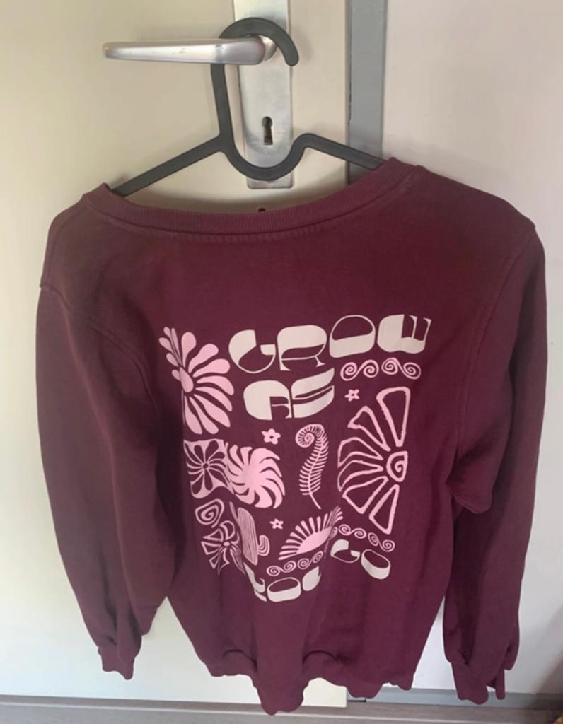 Trui Ms Mode maat M - Huidige collectie, Ophalen of Verzenden, Zo goed als nieuw, Maat 38/40 (M), Overige kleuren