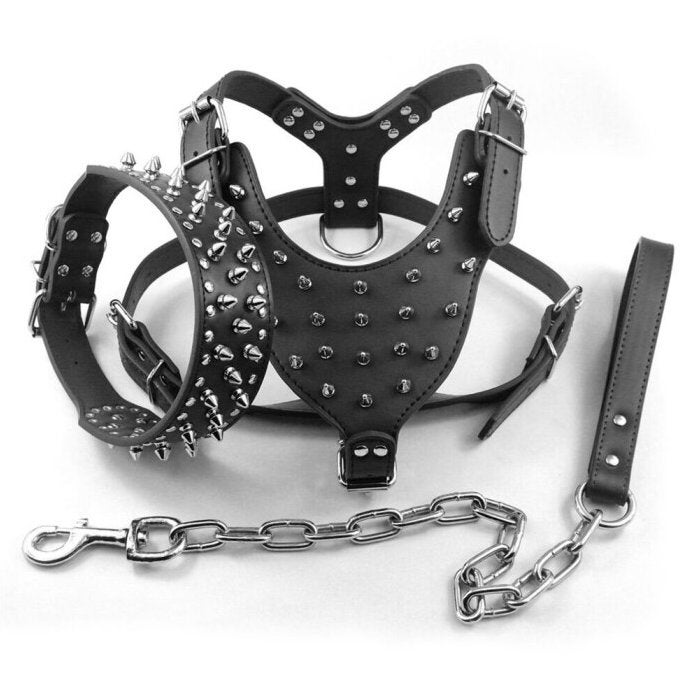 Zwarte hondenhalsband, Verzenden, Nieuw