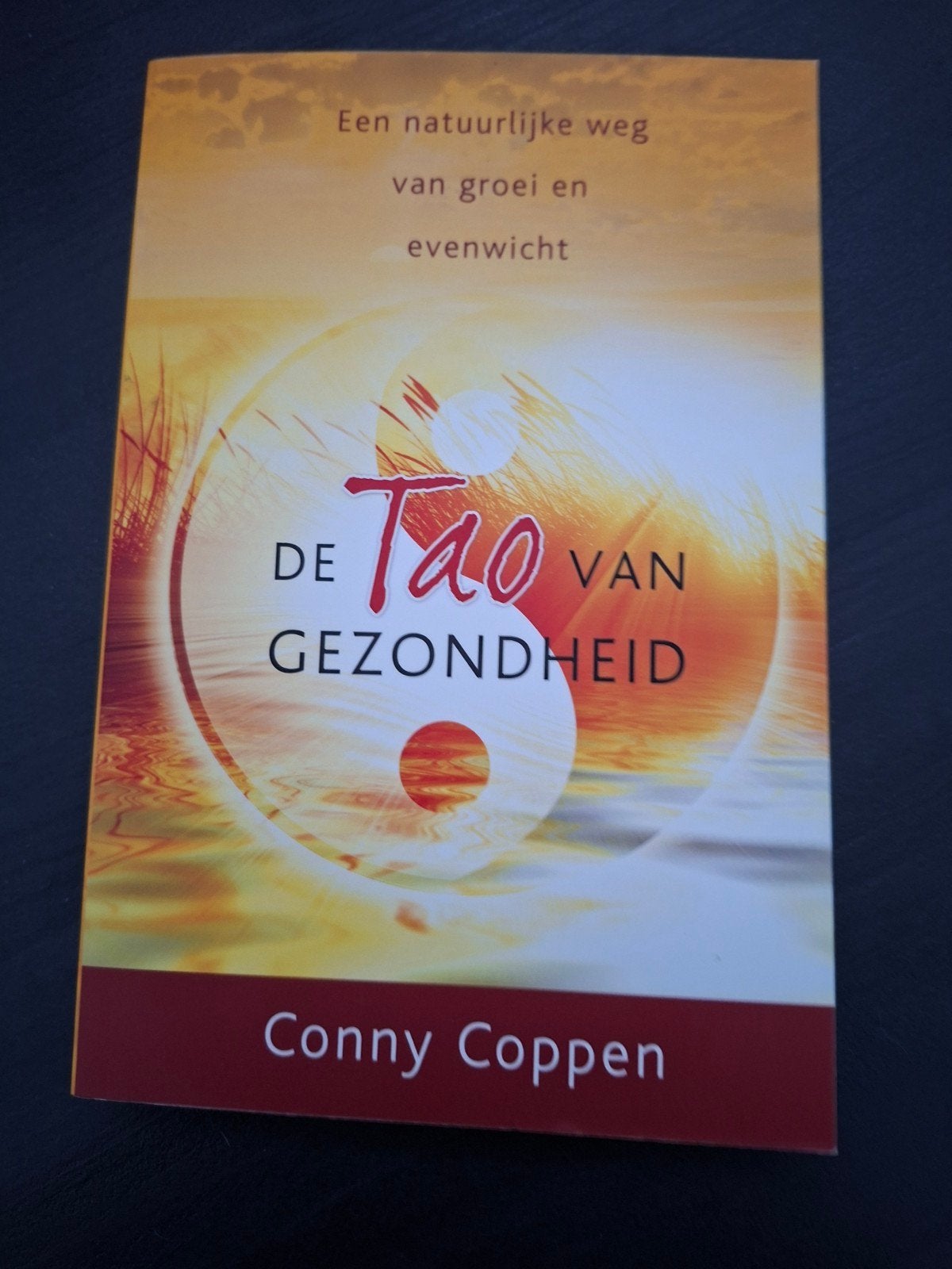 Conny Coppen - De tao van gezondheid, Boeken, Sociale wetenschap, Ophalen of Verzenden, Conny Coppen, Zo goed als nieuw