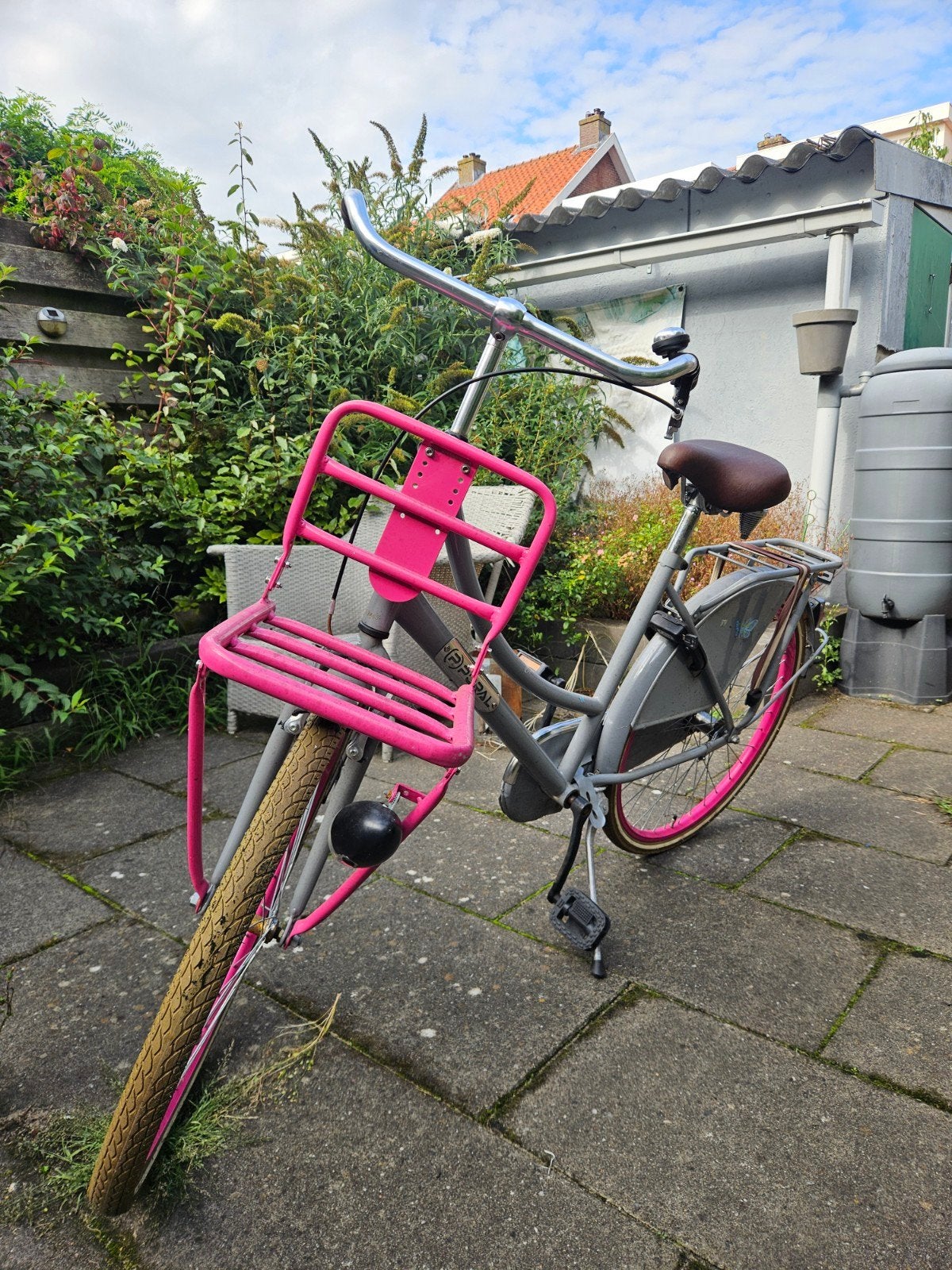 Damesfiets met terugtraprem en handrem, Fietsen en Brommers, Ophalen, Gebruikt, Minder dan 16 inch