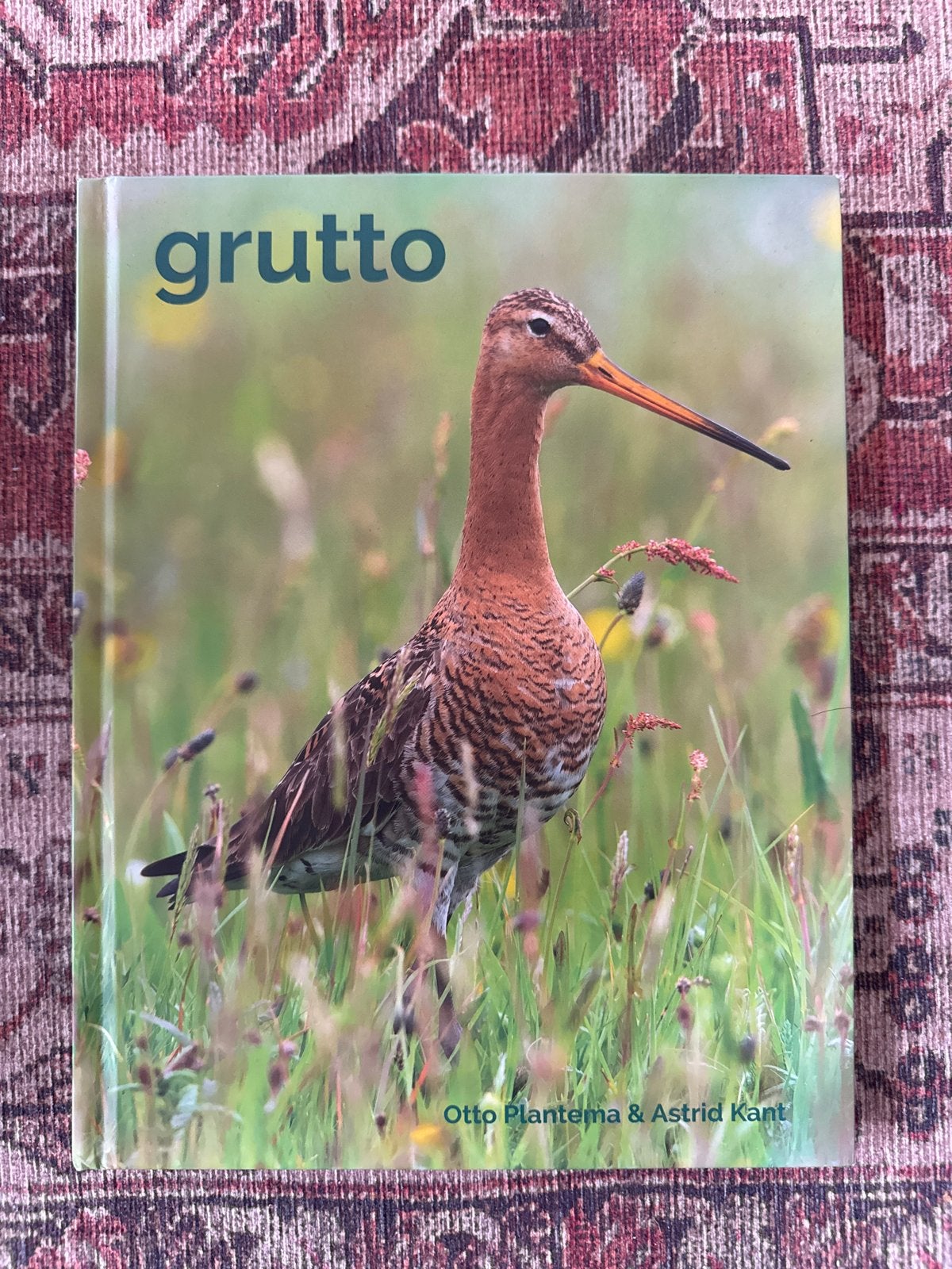Grutto - Otto Plantema & Astrid Kant, Ophalen of Verzenden, Zo goed als nieuw, Vogels