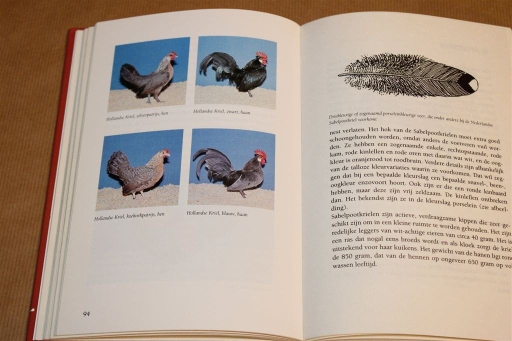 Kippen in Nederland [1997] — Ras & Verzorging, Boeken, Ophalen of Verzenden, Gelezen, Vogels