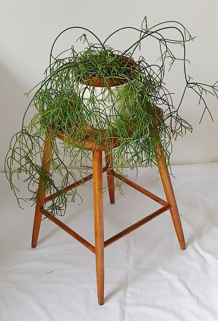 Vintage houten tafeltje /krukje (jaren '50/'60), Ophalen