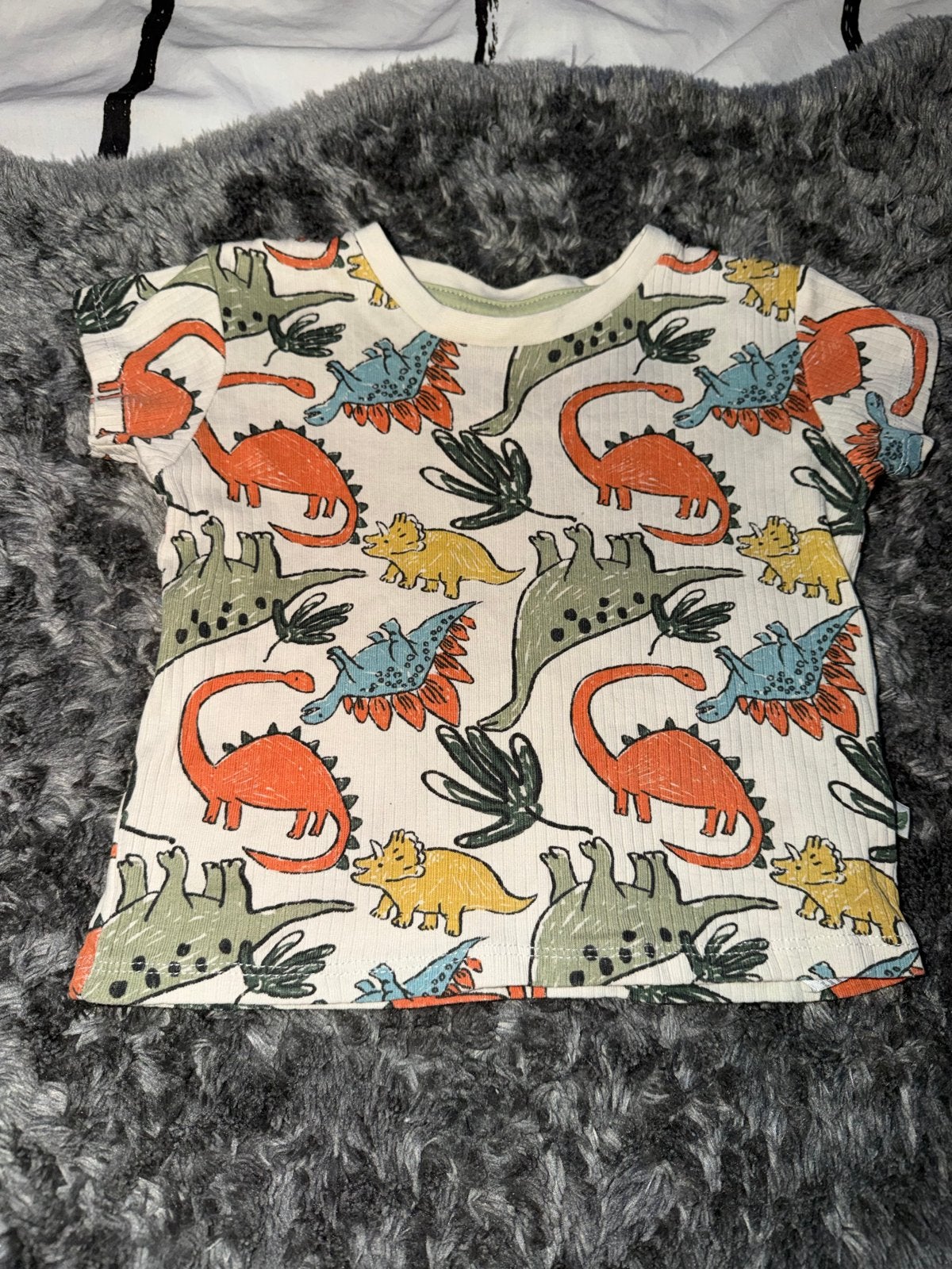 Identic Nature T-shirt met dinoprint - Maat 80, Ophalen of Verzenden, Zo goed als nieuw, Jongetje, Shirtje of Longsleeve